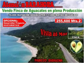 Finca en Venta en ENRIQUILLO Paraíso, Barahona