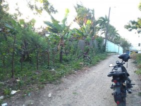 Solar en Venta en  Canastica, San Cristóbal