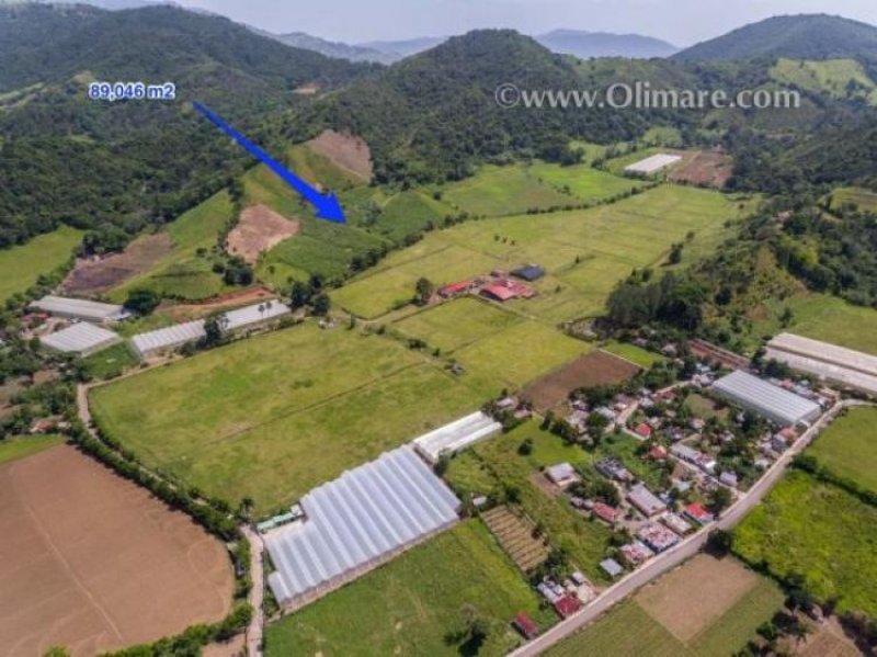 Foto Finca en Venta en San Jose de Ocoa, San José de Ocoa, San José de Ocoa - U$D 263.000 - FIV4513 - BienesOnLine