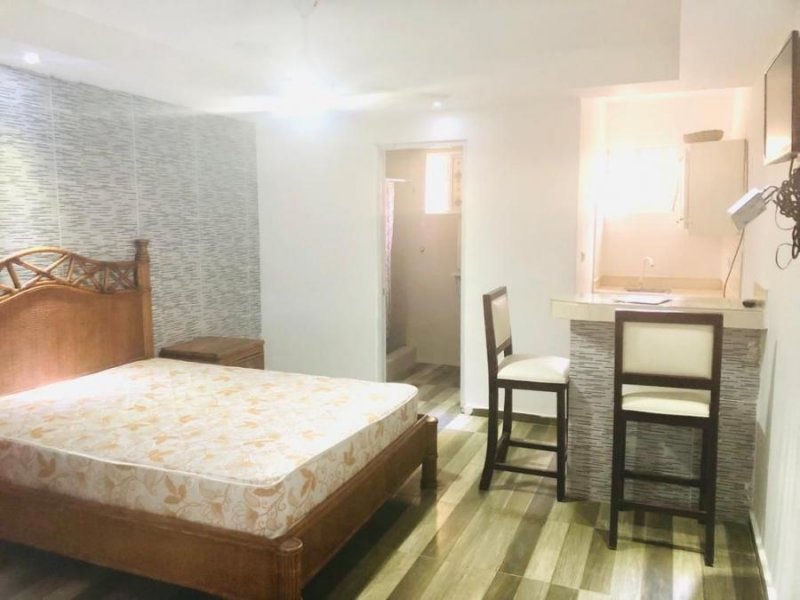 Foto Apartamento en Alquiler en Turístico Verón-Punta Cana, La Altagracia - U$D 275 - APA20035 - BienesOnLine