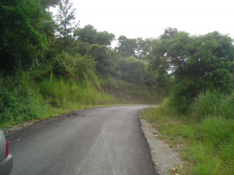 Foto Finca en Venta en Zona Verde, San Cristóbal - $ 1.502.500 - FIV76 - BienesOnLine