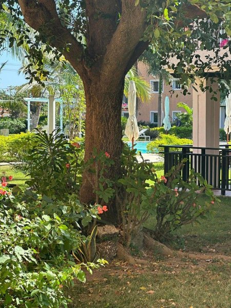 Foto Apartamento en Alquiler en Salvaleón de Higüey, La Altagracia - U$D 1.200 - APA57698 - BienesOnLine