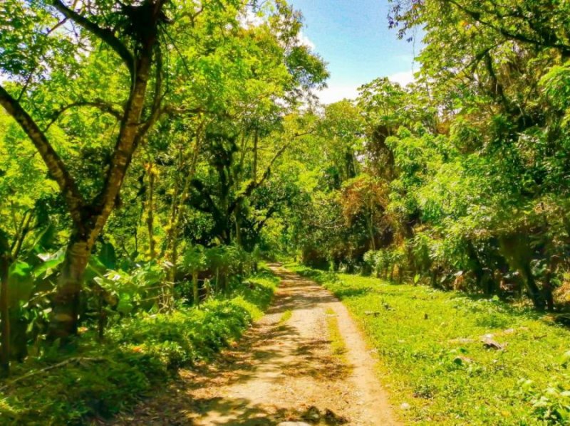 Finca en Venta en Yuna Rancho Arriba, San José de Ocoa