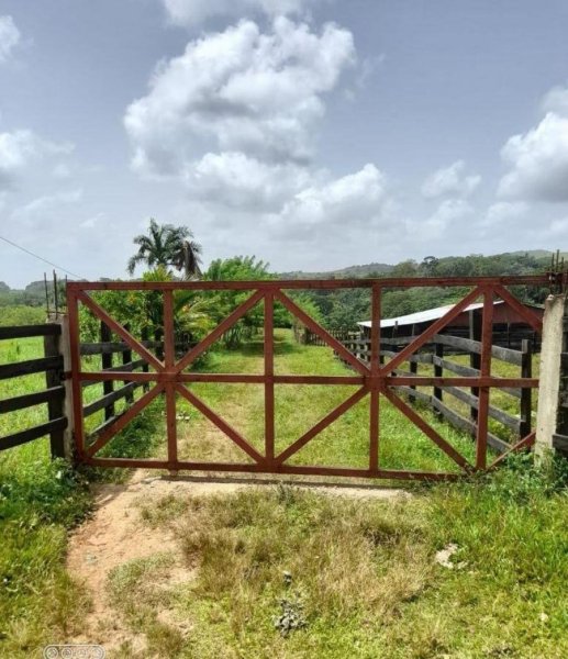 Foto Finca en Venta en Río San Juan, Río San Juan, María Trinidad Sánchez - $ 14.000.000 - FIV16035 - BienesOnLine