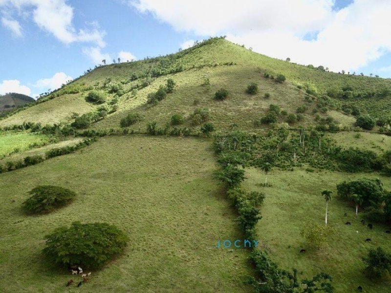 Finca en Venta en Cruce de pavón Cruce de pavón, El Seibo