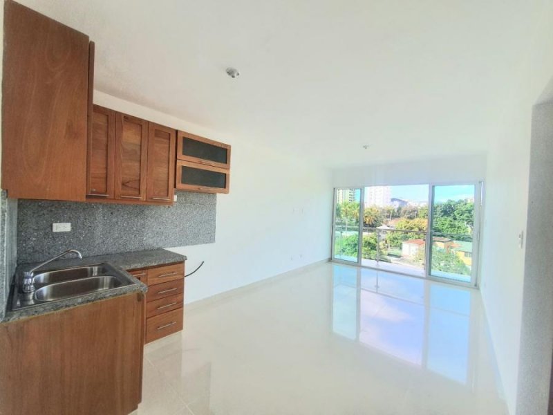 Apartamento en Alquiler en  Santiago de los Caballeros, Santiago