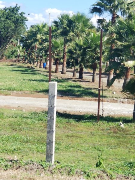 Foto Finca en Venta en Yamasa, Yamasá, Monte Plata - $ 2.147.483.647 - FIV11544 - BienesOnLine