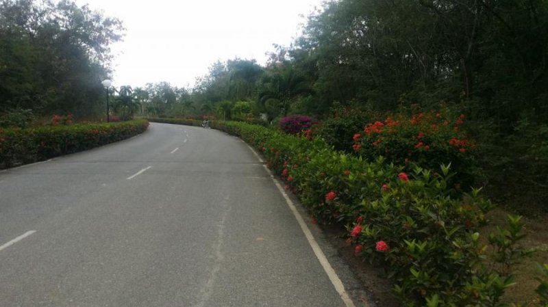 Foto Solar en Venta en Playa Nueva Romana, Playa Nueva Romana, San Pedro de Macorís - U$D 135.000 - SOV7962 - BienesOnLine
