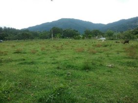 Foto Solar en Venta en Jarabacoa, La Vega - $ 7.200.000 - SOV3321 - BienesOnLine