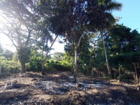 Solar en Venta en  Canastica, San Cristóbal