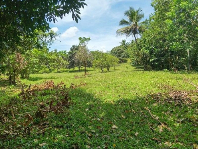 Foto Solar en Venta en Hato de Dama, Madre Vieja Norte, San Cristóbal - $ 5.600.000 - SOV22140 - BienesOnLine
