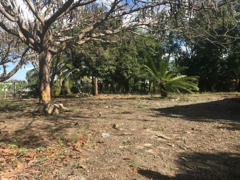 Foto Solar en Venta en GURABO, GURABO, Santiago - $ 5.467.000 - SOV17381 - BienesOnLine