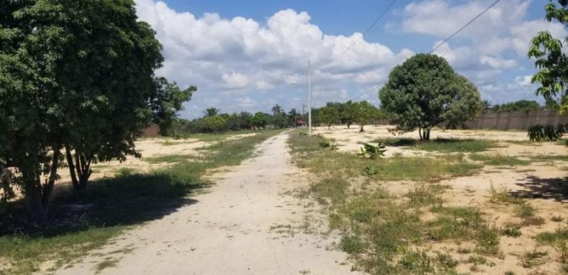 Foto Solar en Venta en Punta Caucedo, Santo Domingo Este, Santo Domingo - U$D 2.080.000 - SOV20266 - BienesOnLine