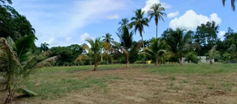 Solar en Venta en BONAO Bonao, Monseñor Nouel