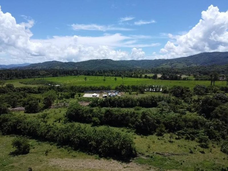 Solar en Venta en BONAO Bonao, Monseñor Nouel