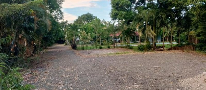 Foto Solar en Venta en BONAO, Bonao, Monseñor Nouel - $ 11.000.000 - SOV75891 - BienesOnLine