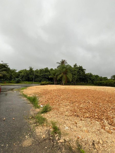 Terreno en Venta en Guavaberry.
