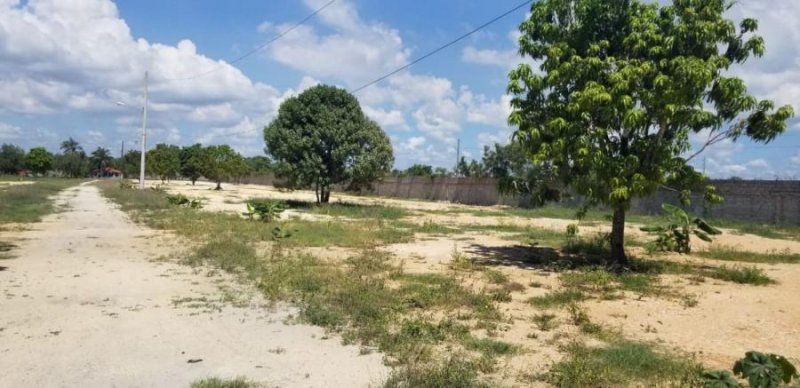 Foto Solar en Venta en Santo Domingo Este, Santo Domingo - U$D 2.080.000 - SOV20174 - BienesOnLine