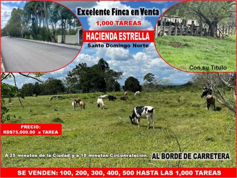 VENDO FINCA 1000 TAREAS HACIENDA ESTRELLA, POR PARTES O COMPLETA, A LA ORILLA DE LA CARRETERA ASFALT