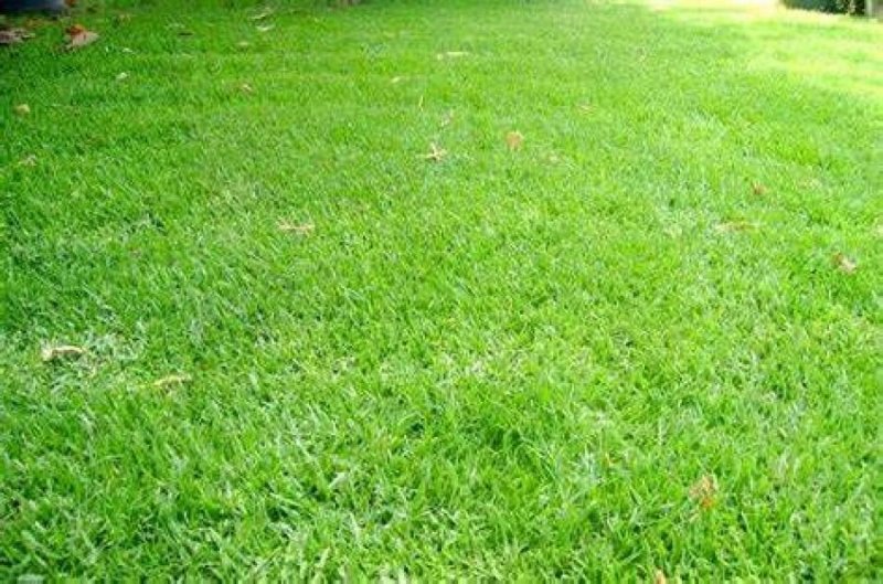 Foto Finca en Venta en Punta Caña, San Juan - $ 8.700.000 - FIV24059 - BienesOnLine