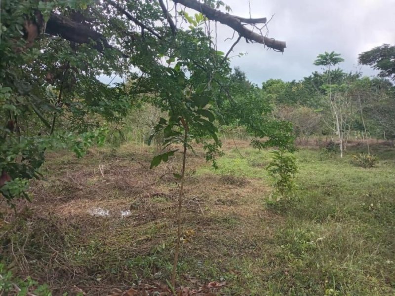 Solar en Venta en  Santo Domingo Este, Santo Domingo