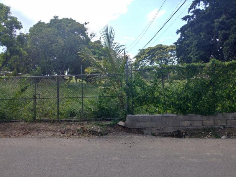 Foto Solar en Venta en CARRETERA GUAYABAL, LAGUNA PRIETA, Santiago - $ 6.300.000 - SOV7086 - BienesOnLine