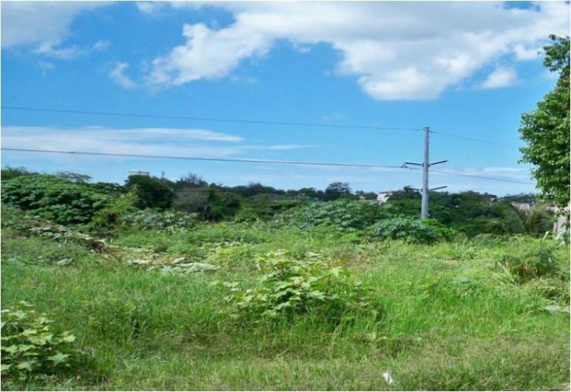 Foto Solar en Venta en ANDRES B.C., Boca Chica, Santo Domingo - U$D 45.000 - SOV1557 - BienesOnLine