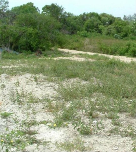 Foto Solar en Venta en ANDRES B.C., Boca Chica, Santo Domingo - U$D 12.000 - SOV1558 - BienesOnLine