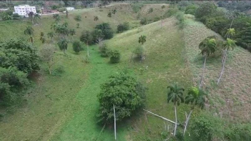 Foto Finca en Venta en Gaspar Hernández, , Hermanas Mirabal - $ 12.485.000 - FIV12442 - BienesOnLine