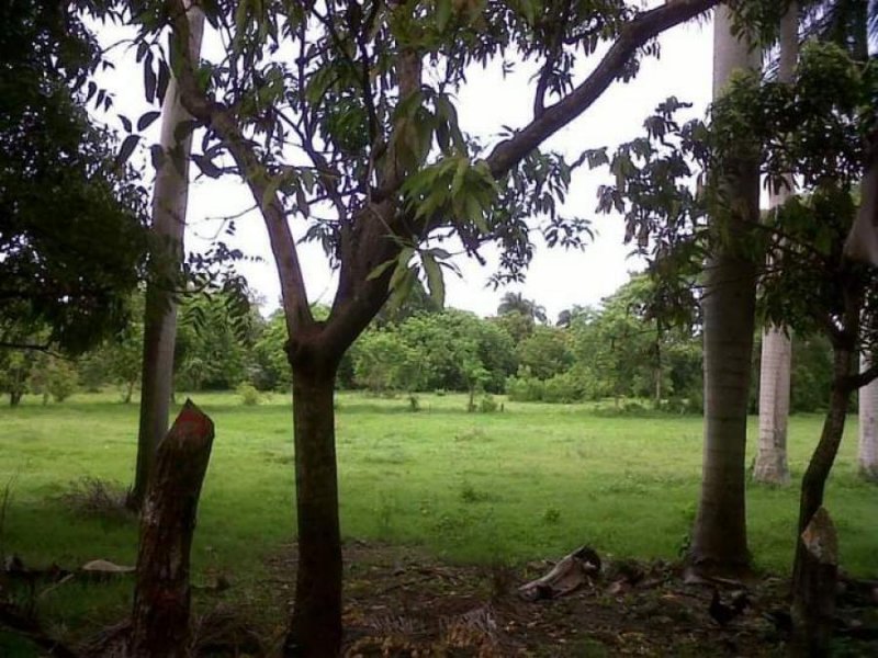 Foto Solar en Venta en Estero Hondo, Puerto Plata - $ 11.000.000 - SOV10124 - BienesOnLine
