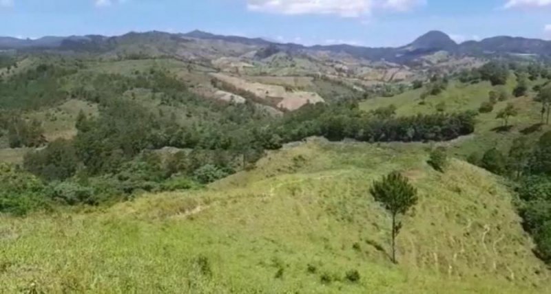 Foto Finca en Venta en Paso Bajito, Paso Bajito, La Vega - $ 48.330.000 - FIV22780 - BienesOnLine