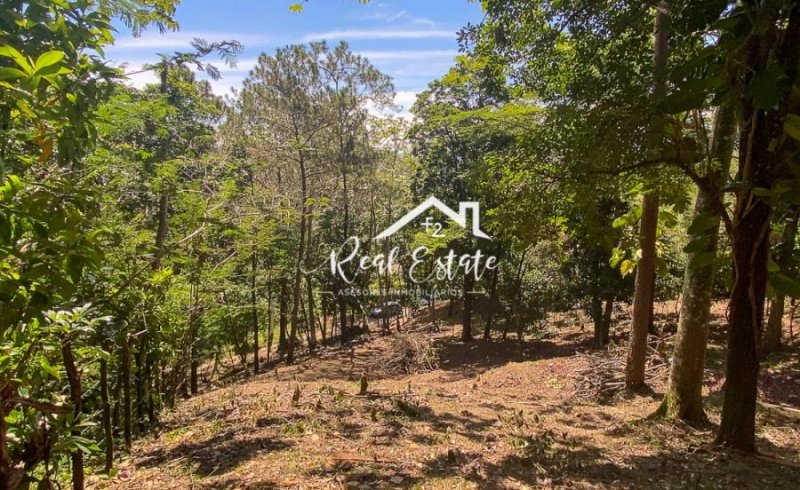 Foto Solar en Venta en Jarabacoa, La Vega - U$D 38 - SOV17798 - BienesOnLine